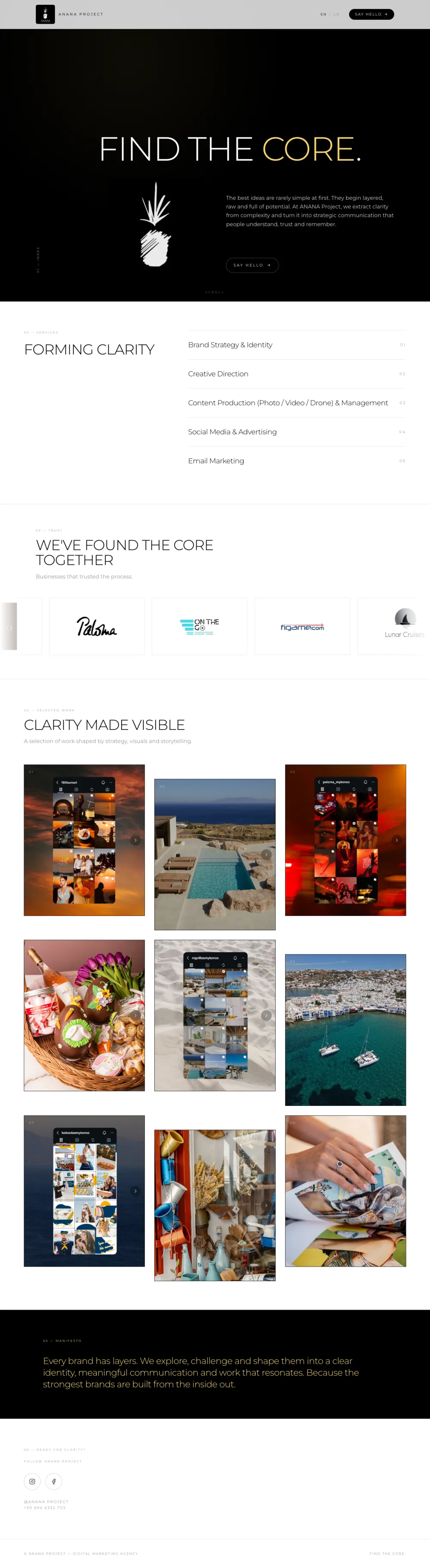 Ananas Project, landing page από Αναστασία